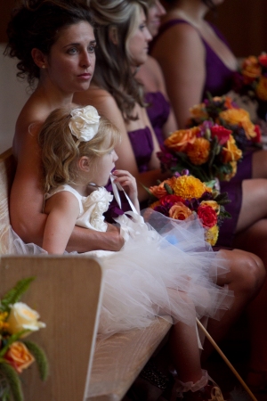 Bridesmaids and Lily 